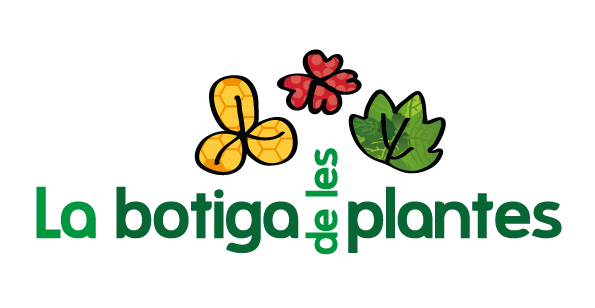 1713949206__logo_completo